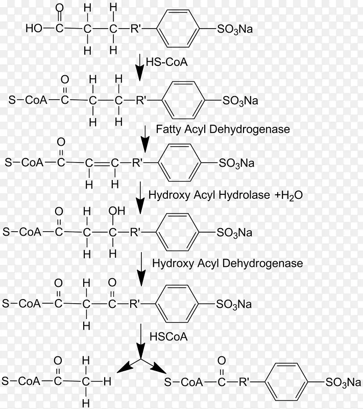 生物降解烷基苯磺酸盐十二烷基苯表面活性剂-β