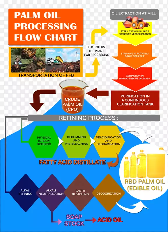 马来西亚棕榈油板食用油马来西亚棕榈油生产-棕榈油