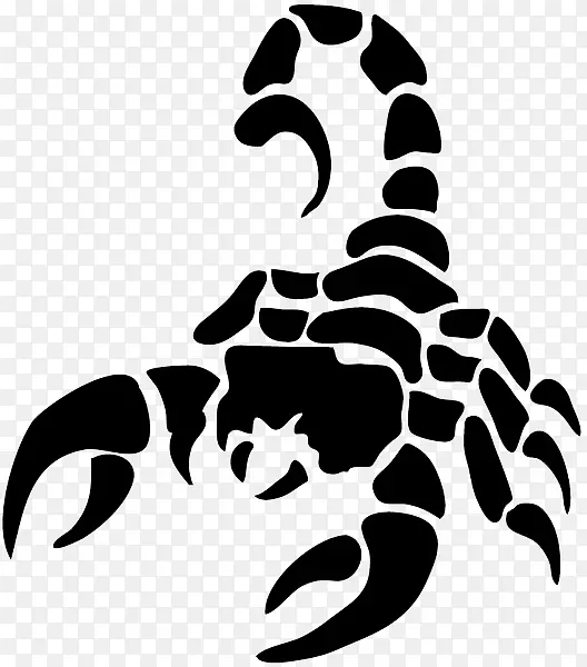 蝎子符号占星术.蝎子