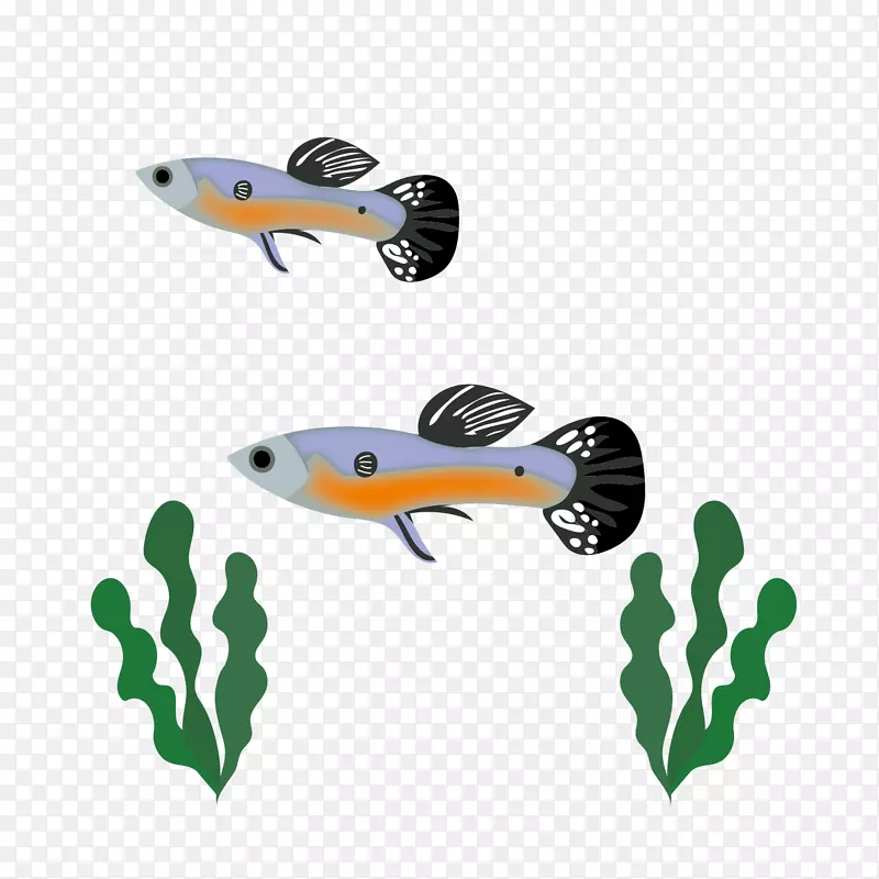 鱼类剪贴画设计