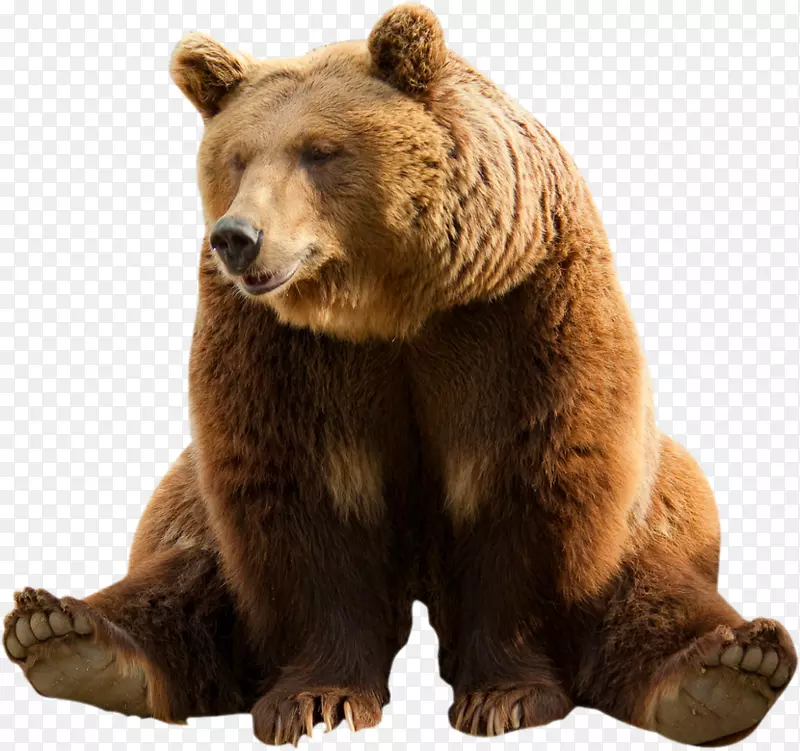 棕熊夹艺术熊