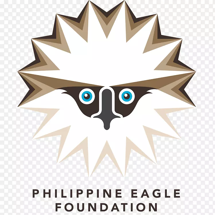 菲律宾鹰基金会猛禽-鹰