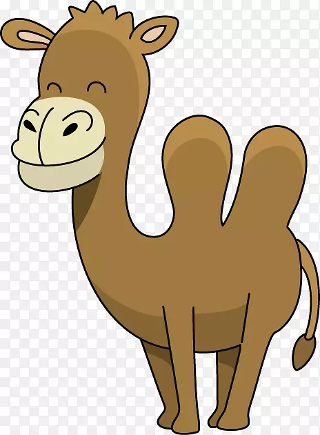 骆驼脸卡通剪贴画