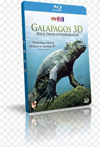 爬行动物加拉帕戈斯群岛动物生态系统dvd
