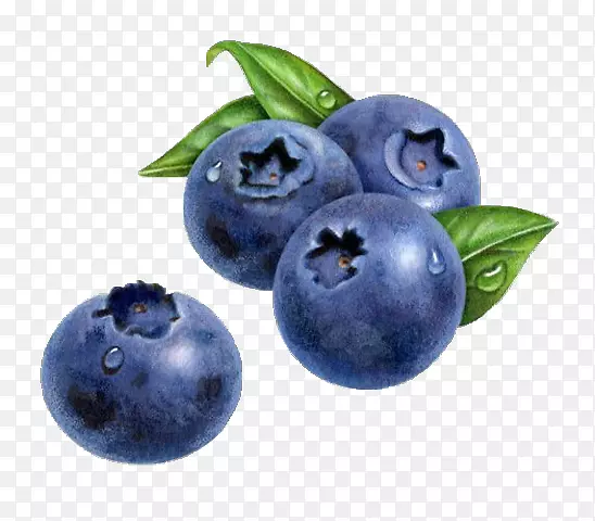 蓝莓画水彩画松饼-蓝莓