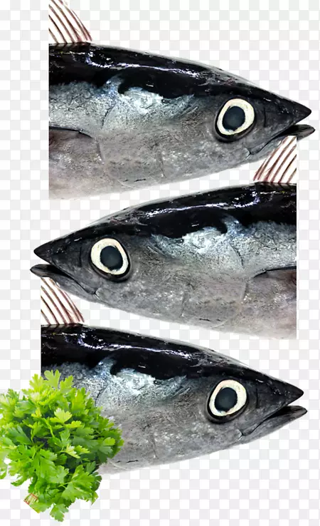 鲭鱼有机食品意大利欧芹动物源性食品-意大利