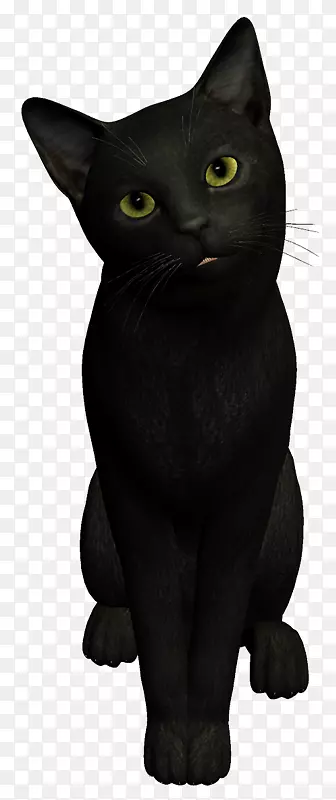 黑猫孟买猫Korat chartreux马来亚猫女巫猫