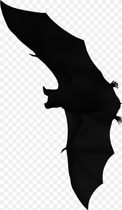 蝙蝠万圣节系列电影-蝙蝠