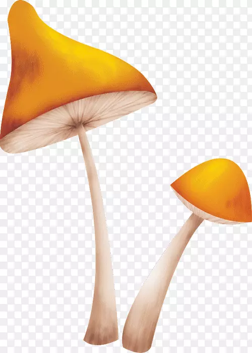 蘑菇Украинскийалфавитдлядетей真菌-蘑菇