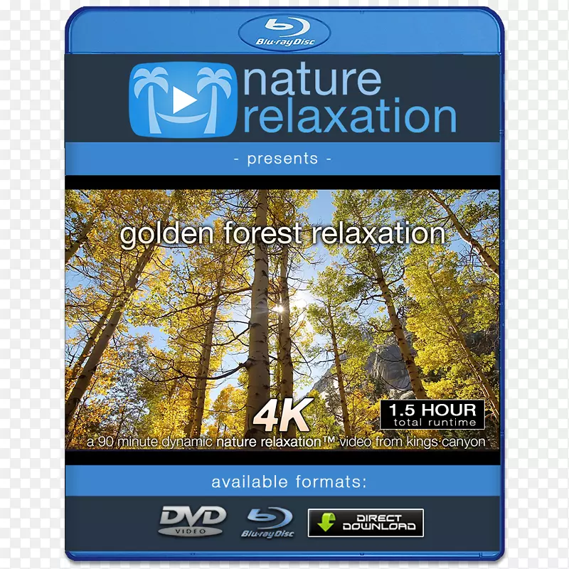 4k分辨率1080 p高清视频高清晰度电视显示分辨率森林场景