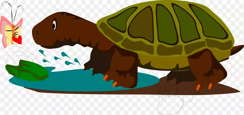 陆生龟动物剪贴画