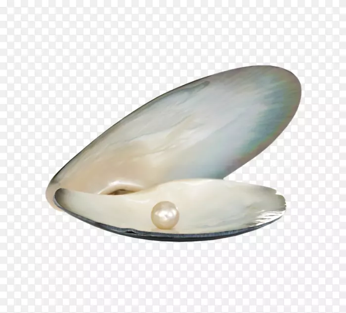 珍珠贝壳