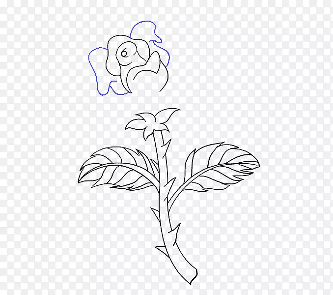 牵伸植物茎玫瑰花素描玫瑰