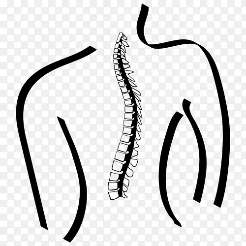背部疼痛物理治疗桑利性能理疗慢性疼痛夹艺术