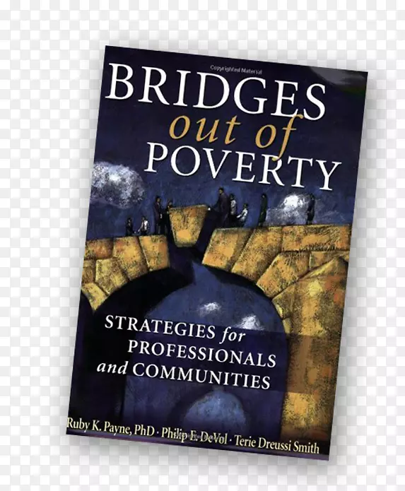 消除贫困的桥梁：专业人员和社区的战略