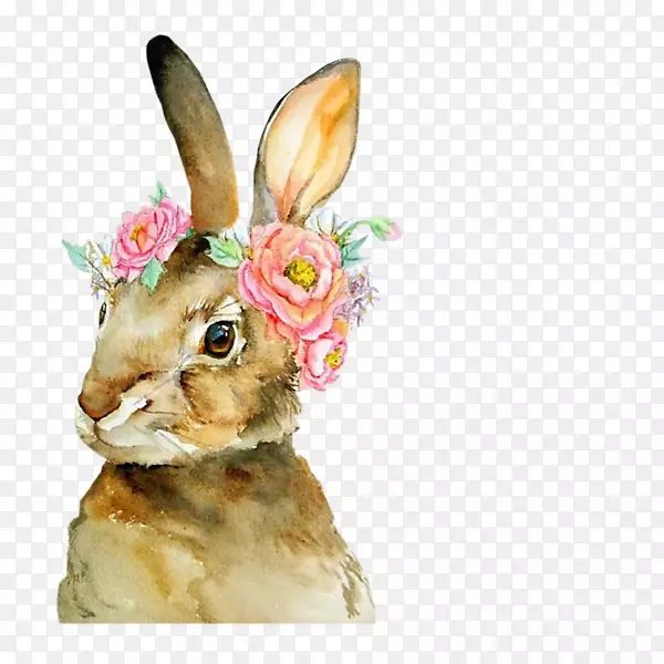 彼得·兔子水彩画艺术故事-兔子