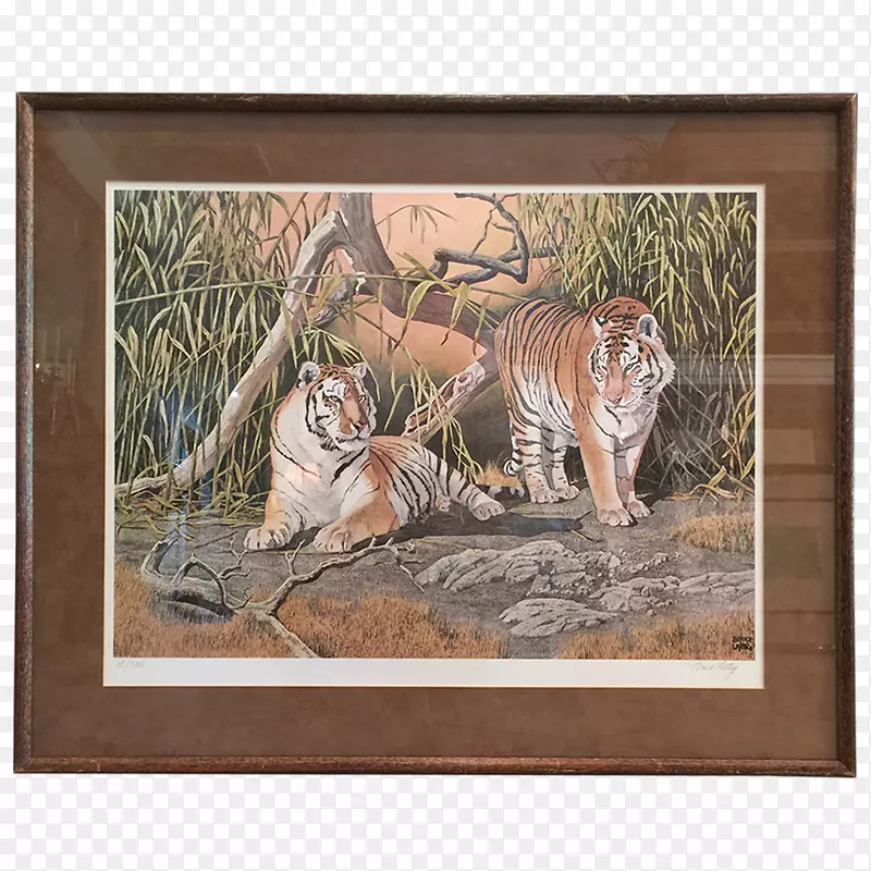 虎猫动物野生动物画-老虎
