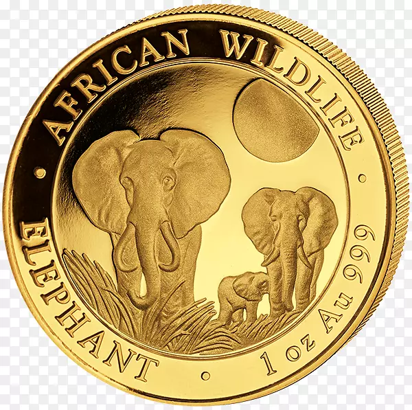 非洲象索马里Elephantidae金币-黄金
