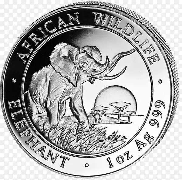 索马里非洲象银币Elephantidae-硬币