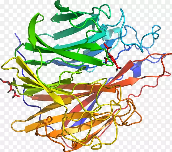 β-葡萄糖苷酶糖苷水解酶底物-神经氨酸酶抑制酶的发现和发展