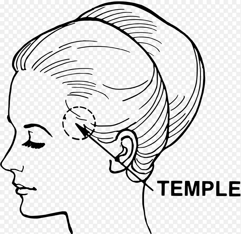 神庙人体解剖人体头部和颈部解剖-庙宇