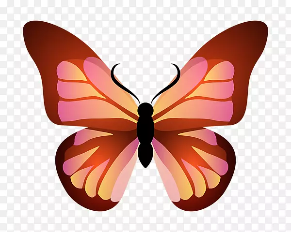 帝王蝶，毛茸茸的蝴蝶，飞蛾，粉红色，橙色