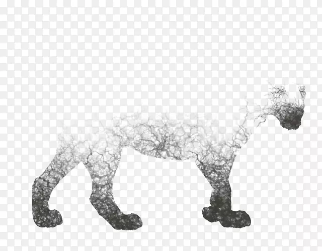 猫犬科狗雕像-猫