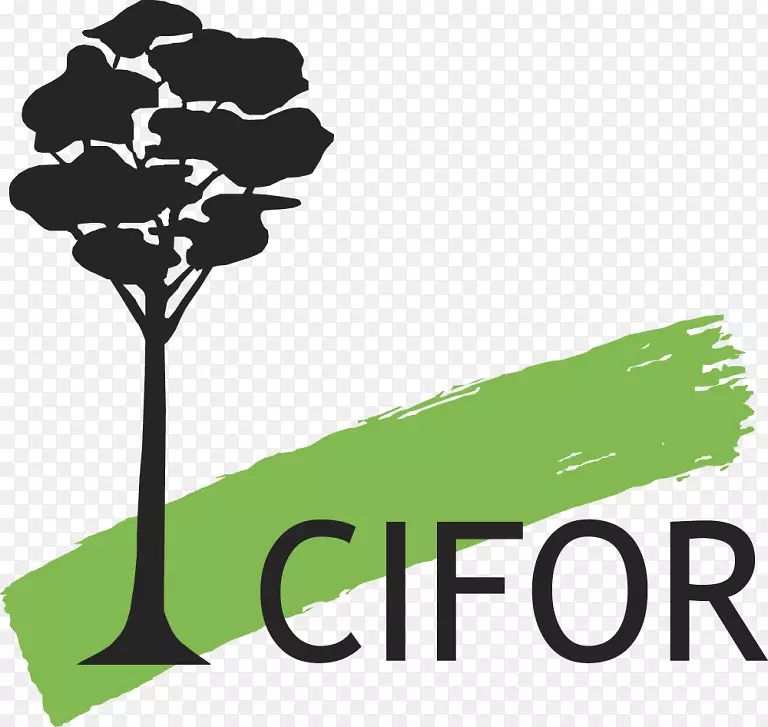 国际林业研究中心权利和资源倡议-森林