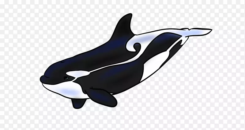 虎鲸白嘴海豚