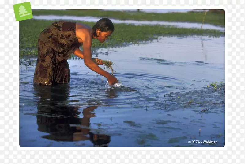 金边湄公河儿童水资源-里弗附近的儿童