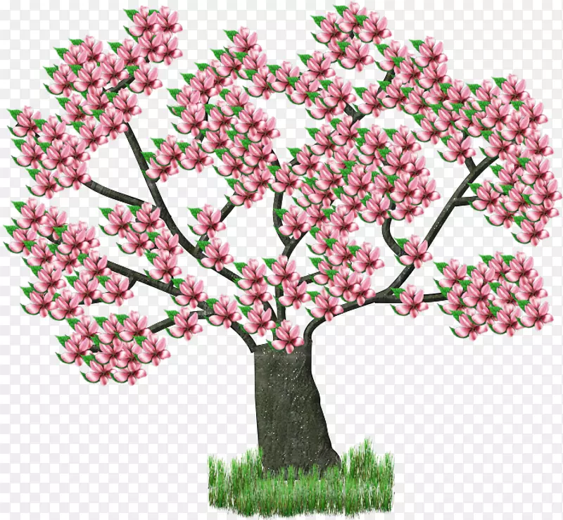 中心博客Shabbat-arbre