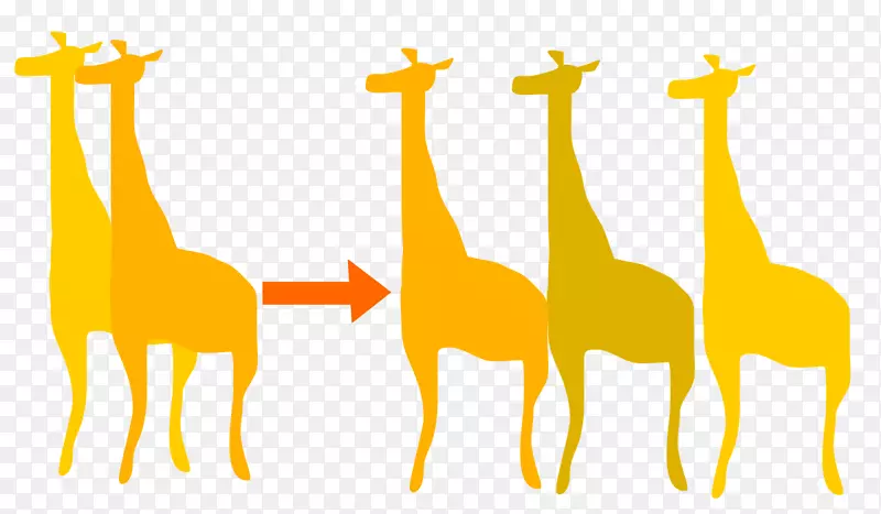长颈鹿进化生物学正畸理论长颈鹿
