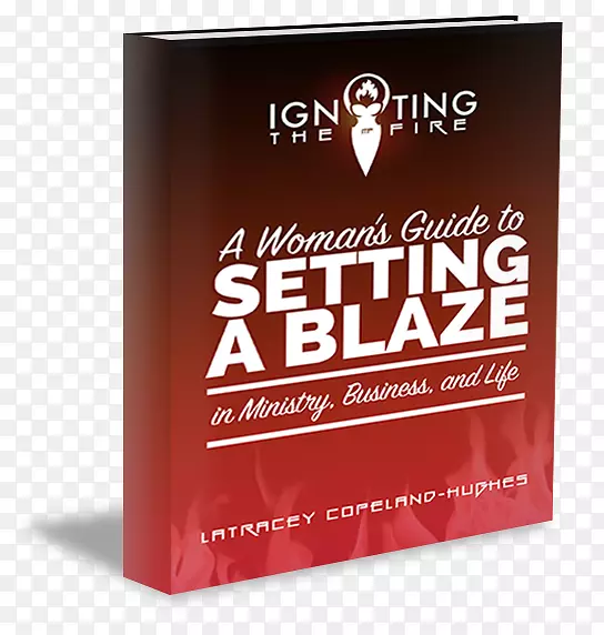 点燃火焰：一本女性指南，用来点燃事业部、商业界和生活品牌的书