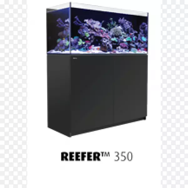 红海礁350礁水族馆-海
