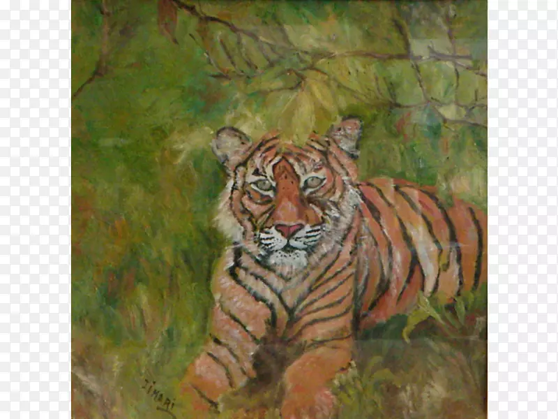 虎猫须画陆生动物-老虎
