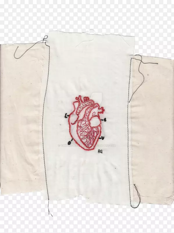 纺织解剖心脏