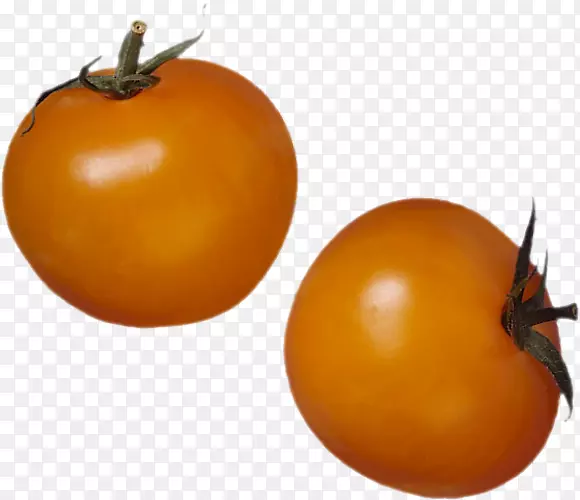 柿子素食菜灌木番茄食物柿子