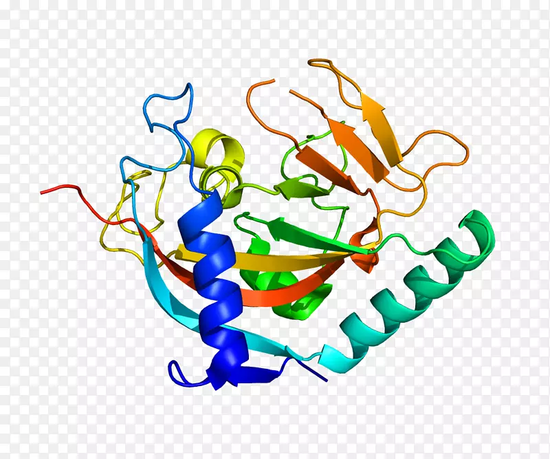 结构基因组学蛋白质结构生物学-蛋白质