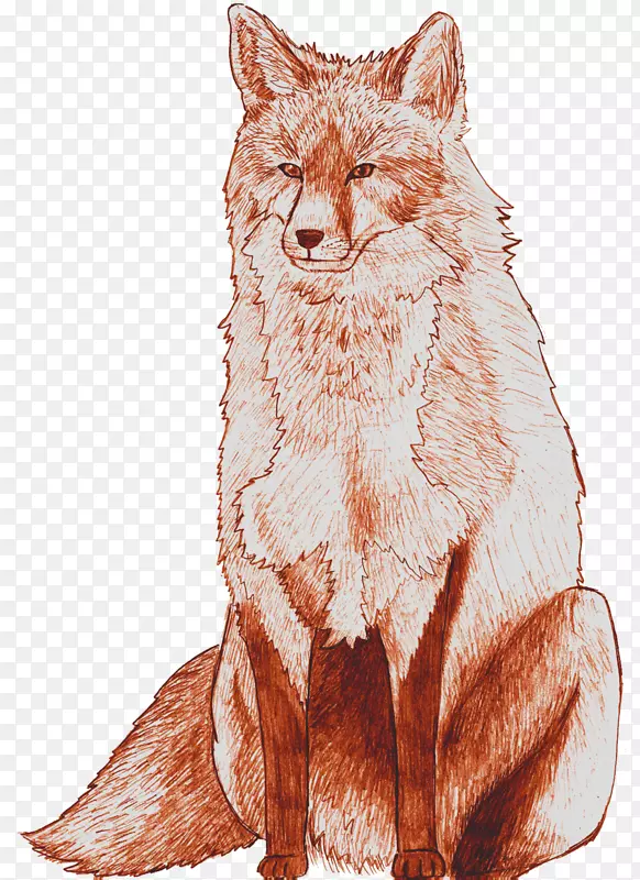 胡须，红狐狸，土狼，灰狼，画笔