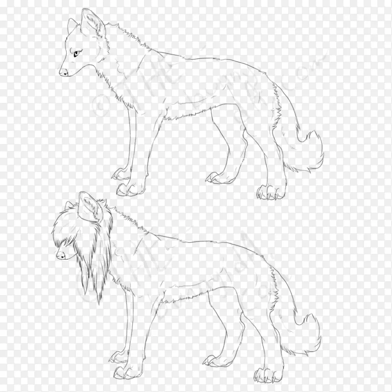 狮子猫线艺术陆地动物野生动物-拉比特和狼
