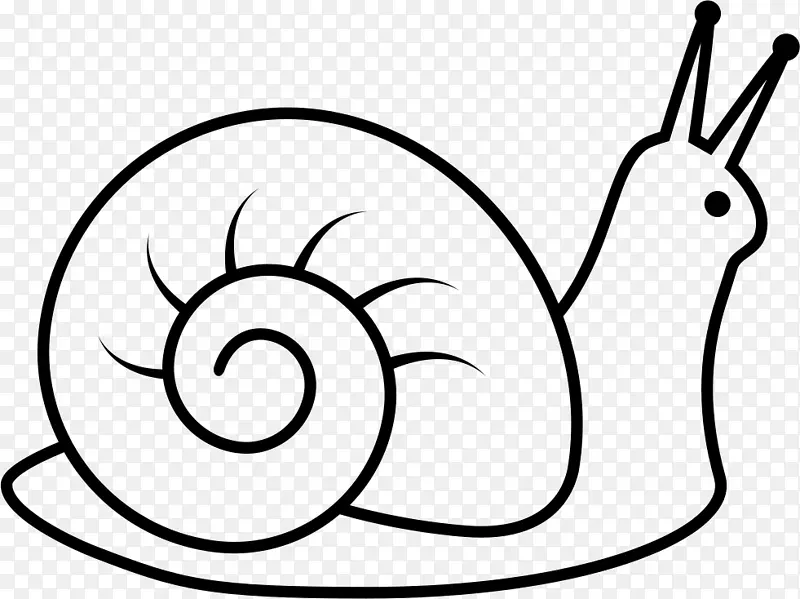 慢蜗牛画蜗牛
