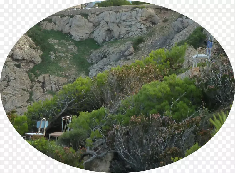 自然保护区植被生物群落山站悬崖-卡拉