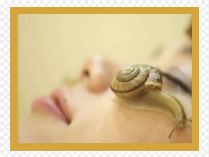 蜗牛粘液护肤品-减少