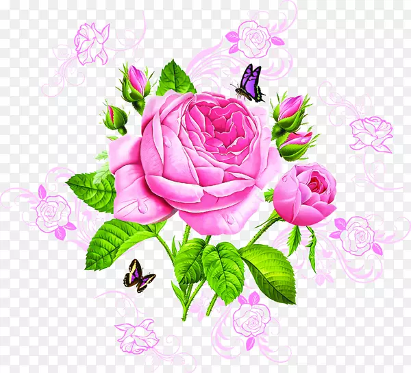 花园玫瑰蝴蝶粉色蝴蝶