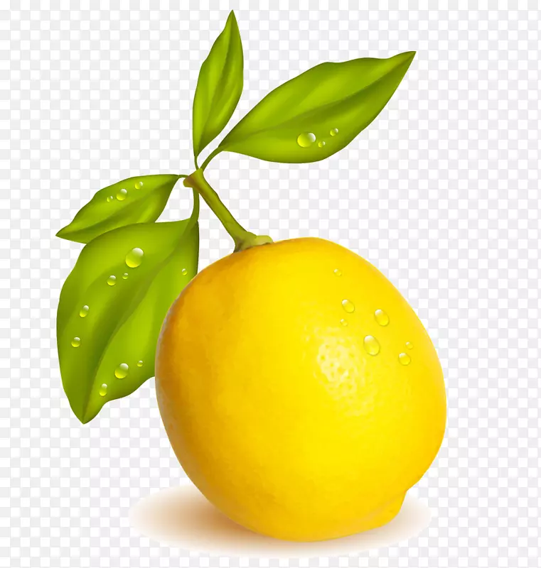 柠檬-柠檬饮料水果甜柠檬-柠檬