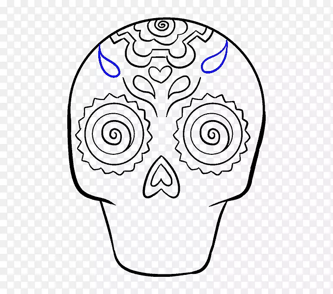 卡拉维拉画头骨艺术素描-头骨