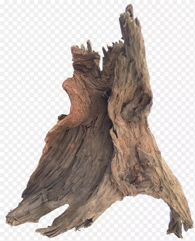 浮木雕塑树干-木材