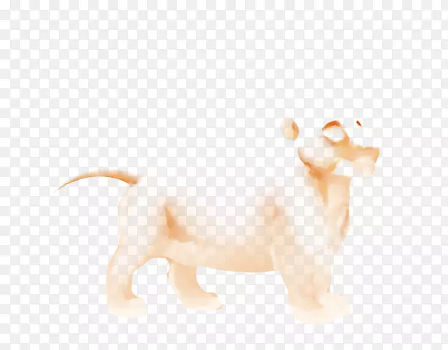 狮子狗，犬科，鼻子，-火狮
