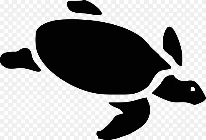 海龟轮廓网龟