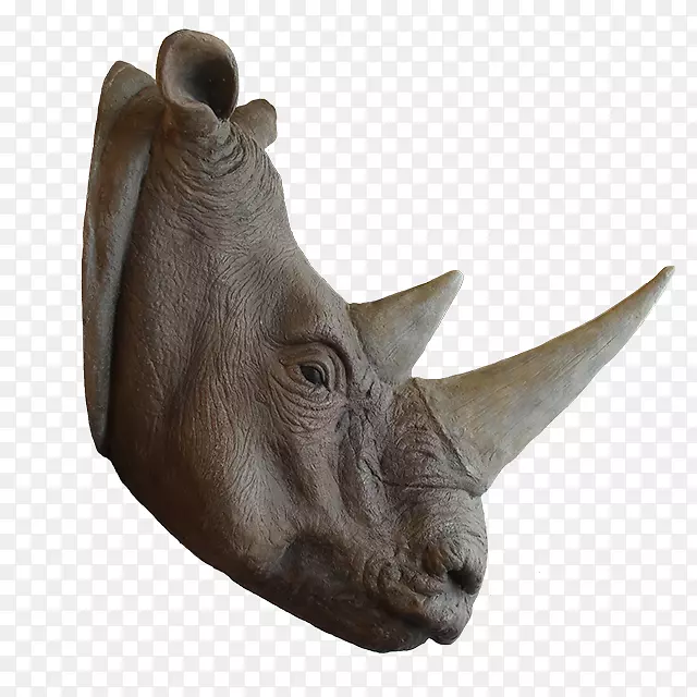 犀牛鼻角动物可爱-犀牛头
